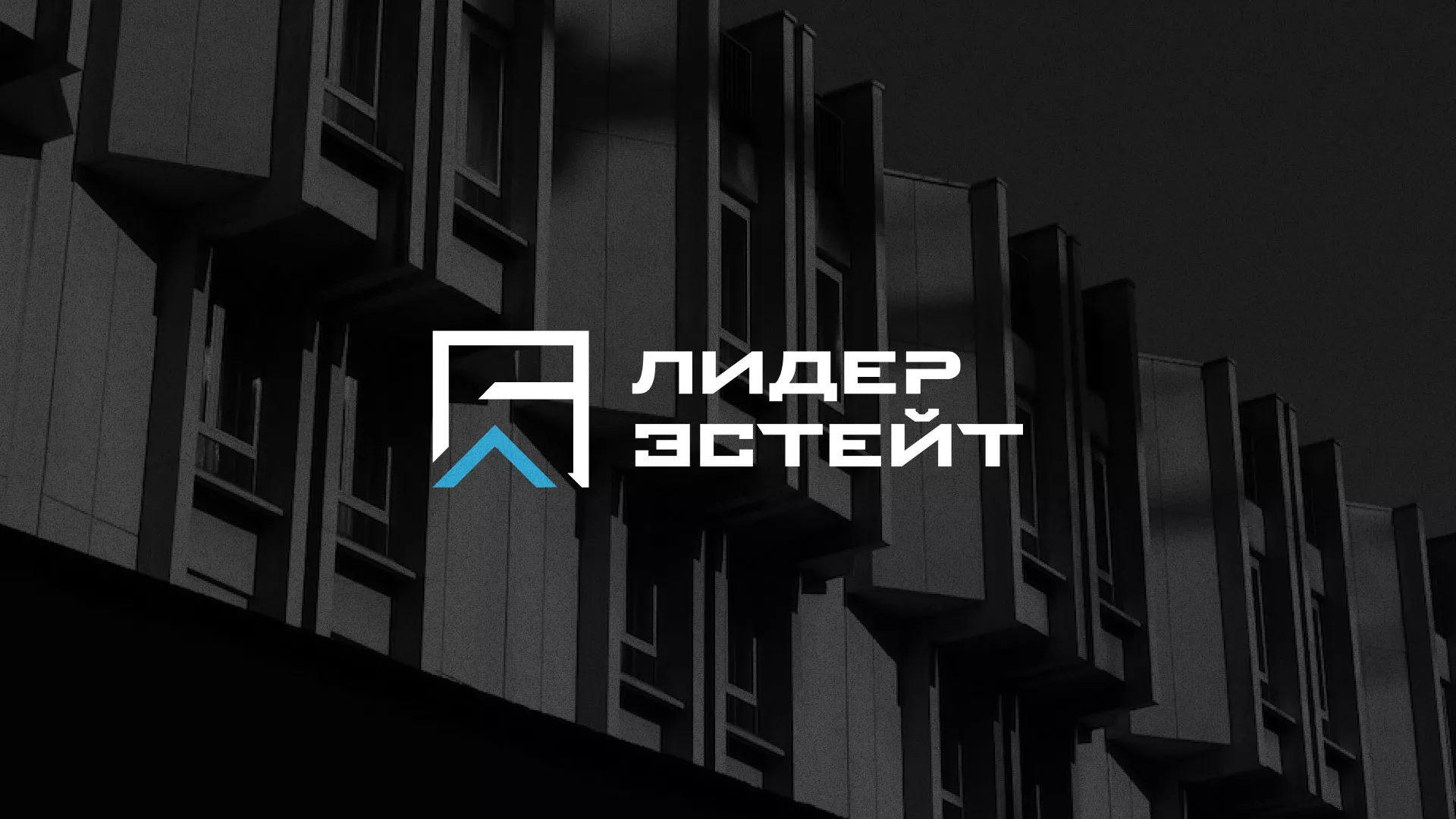 Разработка логотипа агентства недвижимости «Лидер Эстейт» в Московском